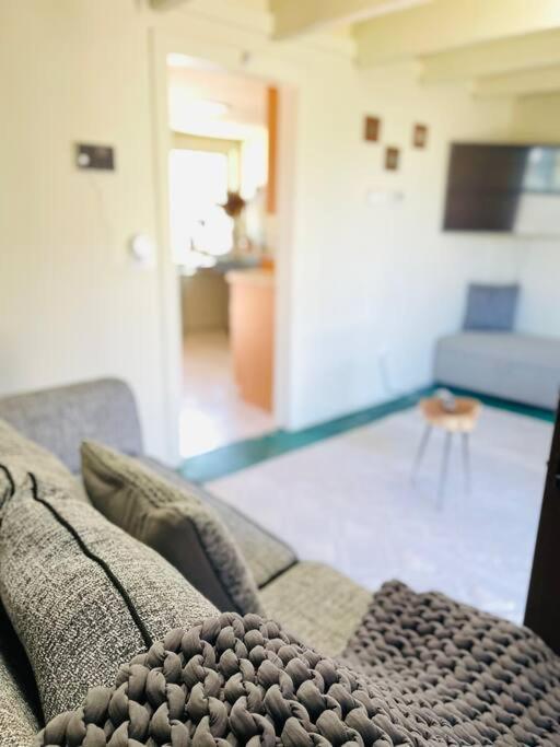 Quaint Historic Cottage In Downtown フェニックス エクステリア 写真